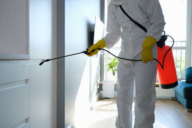 Best Mold Remediation for Healthcare Facilities  in Ridgecrest, FL