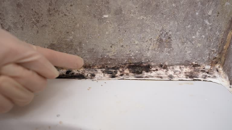 Best Residential Mold Inspection & Testing  in Ridgecrest, FL